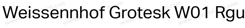 Weissennhof Grotesk W01 Rgular字体转换
